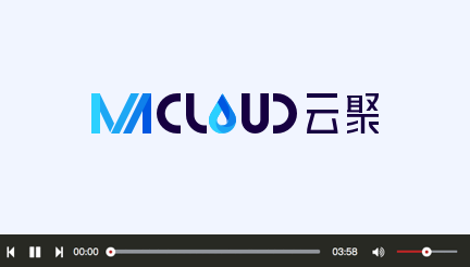 公司介绍
